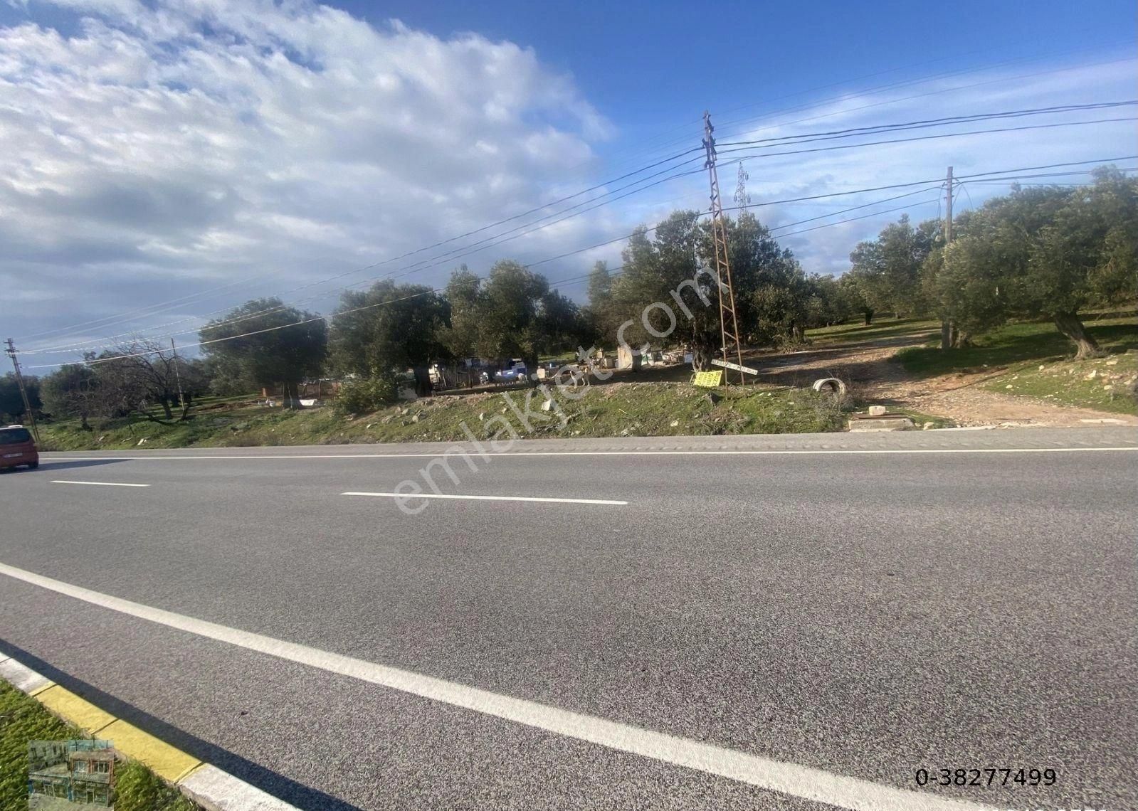 Balıkesir Ayvalık Ta Satılık 30,252 Metre Kare Arsa.ana Yola Cepheli - Görsel 7