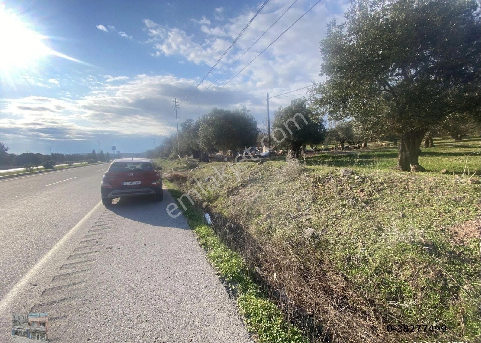 Balıkesir Ayvalık Ta Satılık 30,252 Metre Kare Arsa.ana Yola Cepheli - Görsel 3