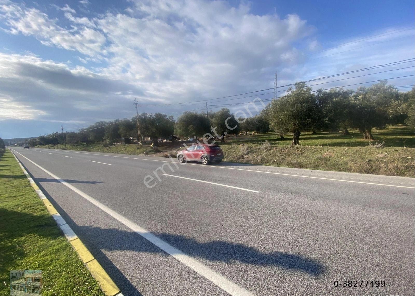 Balıkesir Ayvalık Ta Satılık 30,252 Metre Kare Arsa.ana Yola Cepheli - Görsel 15