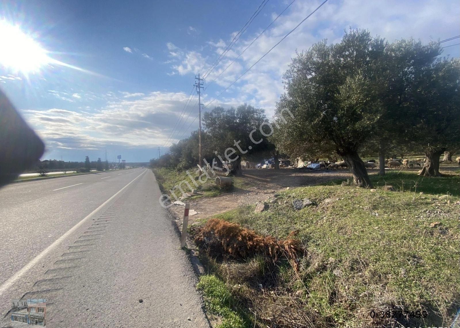 Balıkesir Ayvalık Ta Satılık 30,252 Metre Kare Arsa.ana Yola Cepheli - Görsel 2