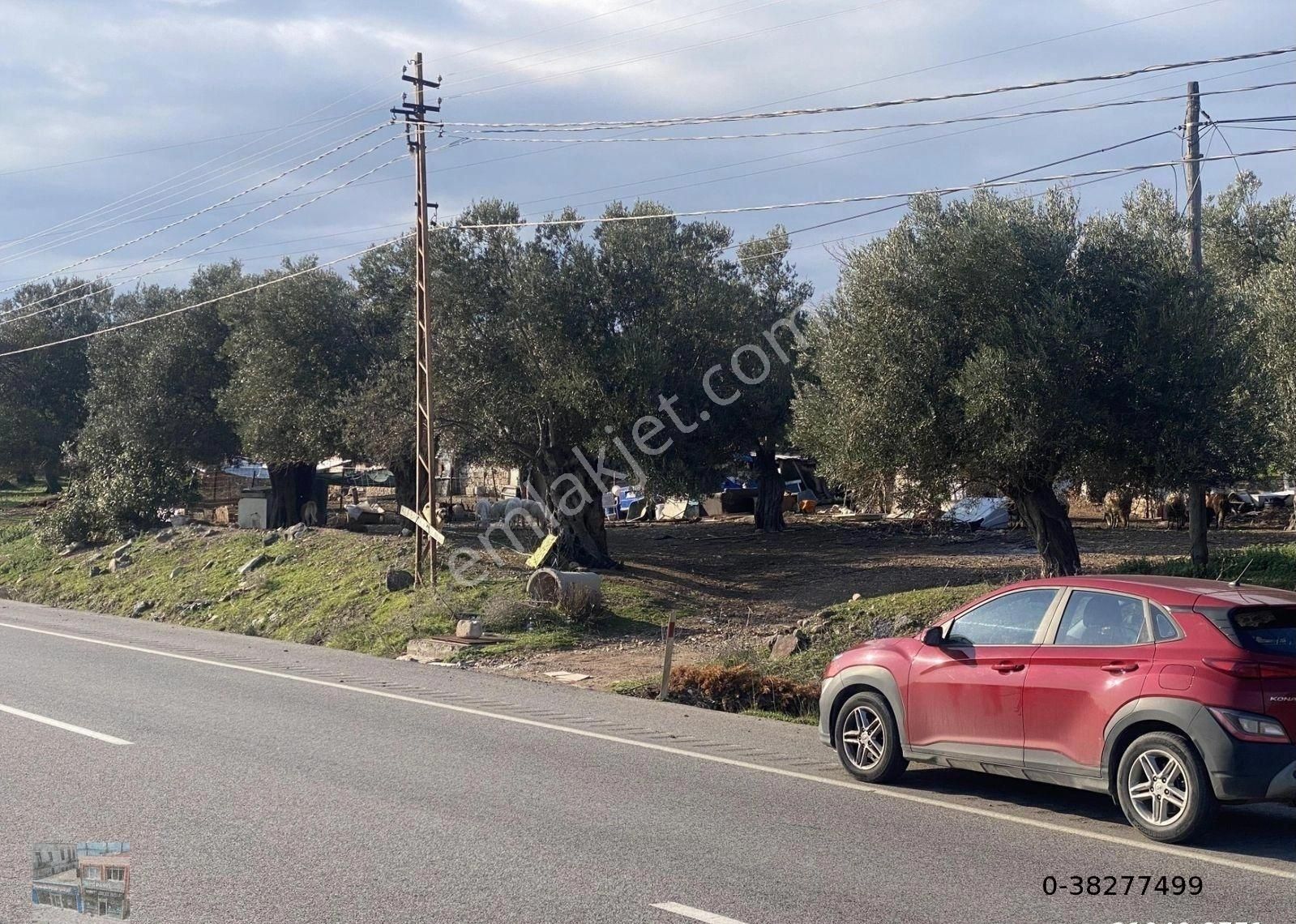 Balıkesir Ayvalık Ta Satılık 30,252 Metre Kare Arsa.ana Yola Cepheli - Görsel 11