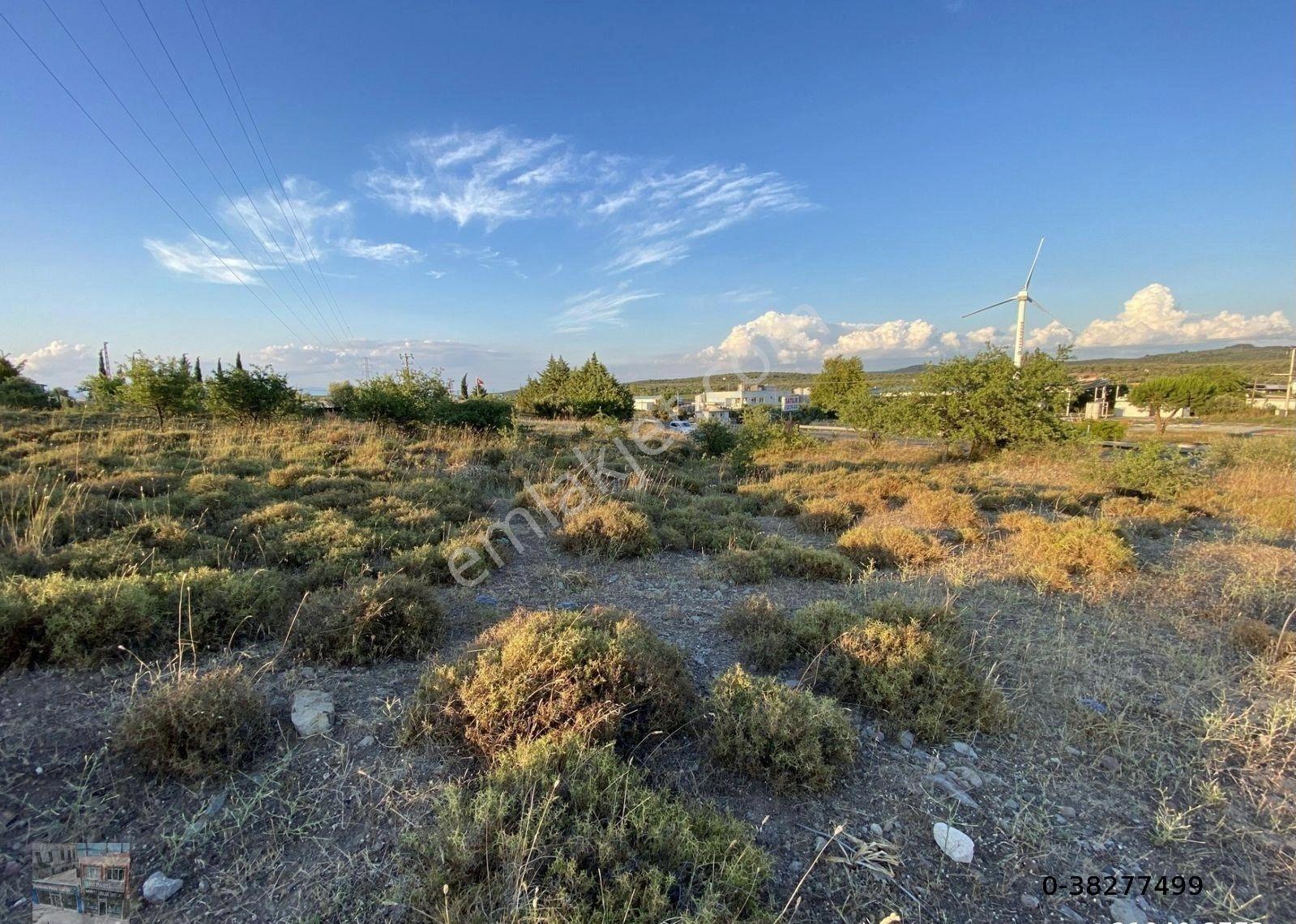 Balıkesir Ayvalık Ta Satılık 7,050 Metre Kare Tarla - Görsel 10