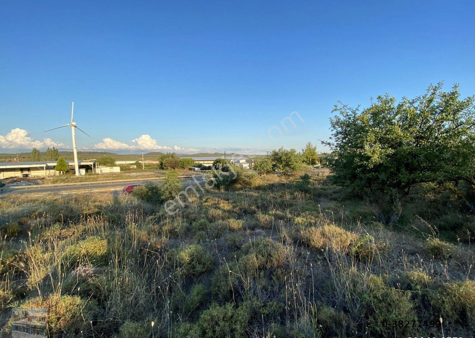 Balıkesir Ayvalık Ta Satılık 7,050 Metre Kare Tarla - Görsel 4