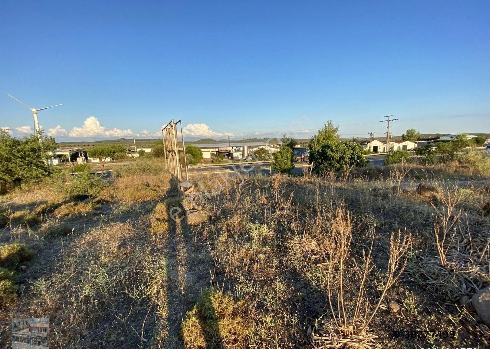 Balıkesir Ayvalık Ta Satılık 7,050 Metre Kare Tarla