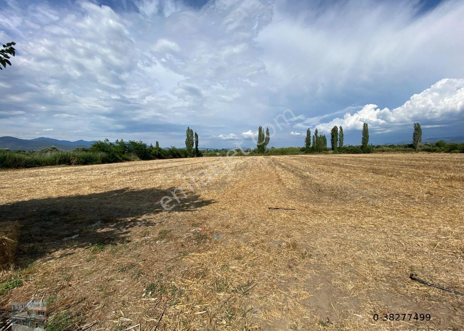 Balıkesir Edremit Te Satılık 33,000 Metre Kare Tarla