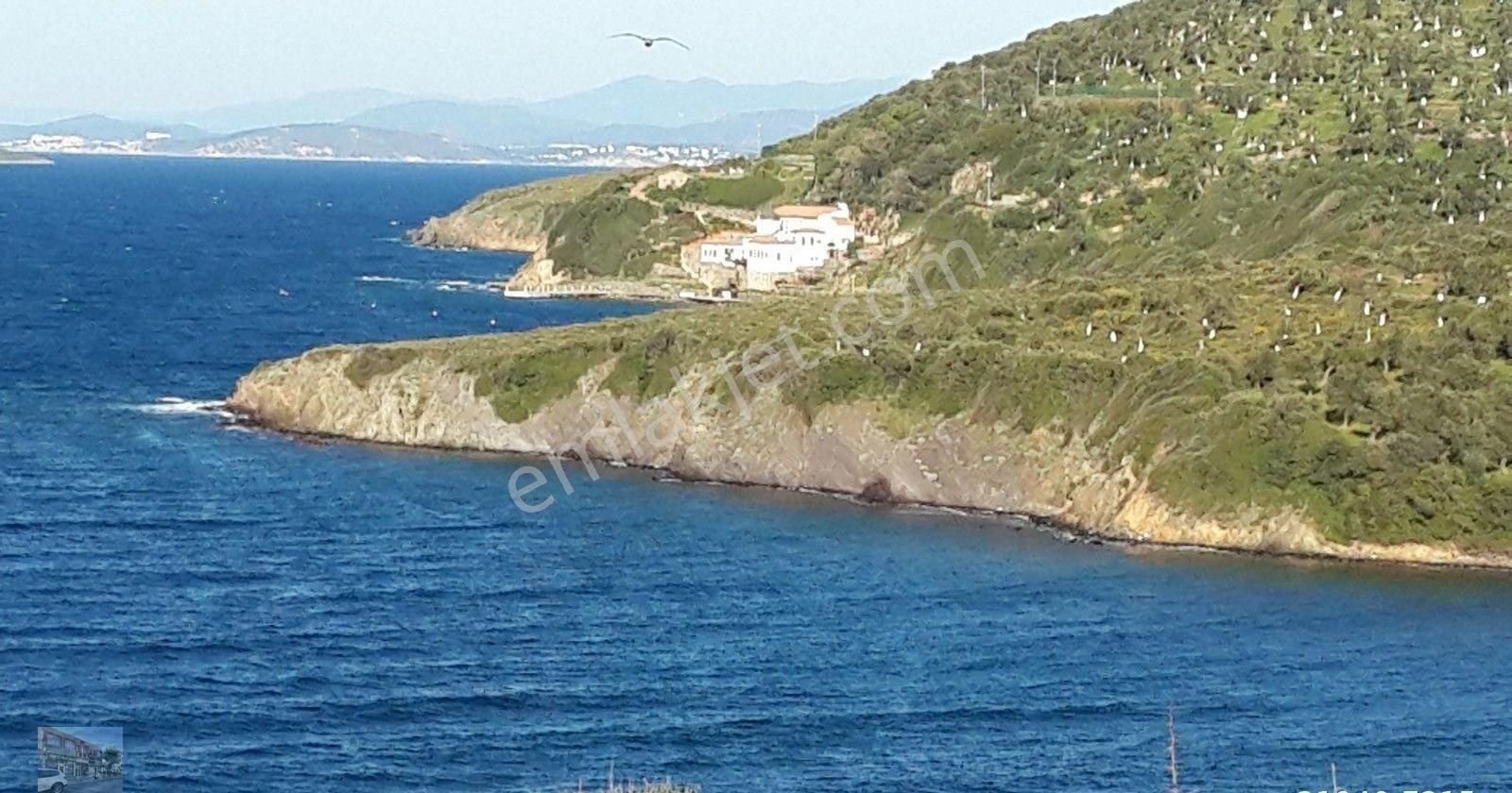 Balıkesir Ayvalık Cunda Da Satılık 23,000 Metre Kare Arsa.