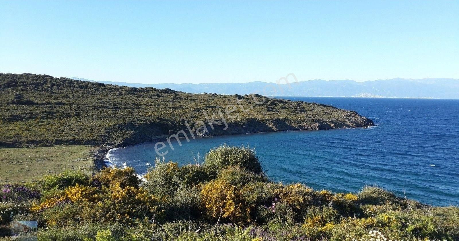 Balıkesir Ayvalık Cunda Da Satılık 23,000 Metre Kare Arsa. - Görsel 6