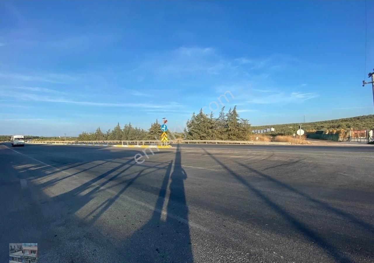 Ayvalık Ta Satılık 7,237 Metre Kare Arsa.ana Yola Cepheli