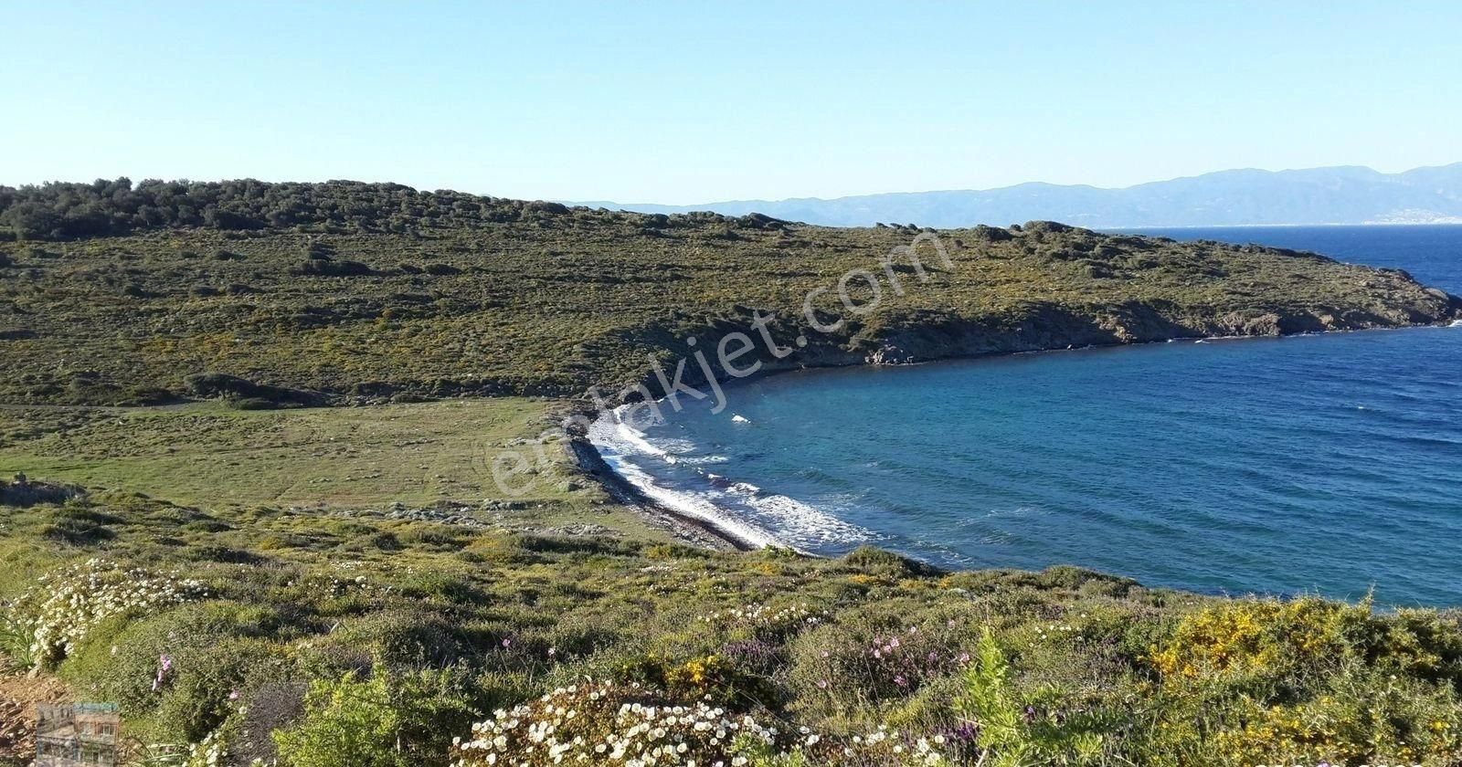 Balıkesir Ayvalık Cunda Da Satılık 100.000 Metre Kare Arsa.denize Sıfır