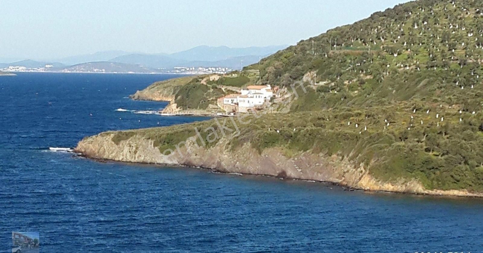 Balıkesir Ayvalık Cunda Da Satılık 45.000 Metre Kare Arsa. - Görsel 4