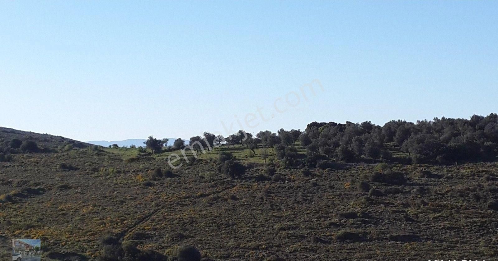 Balıkesir Ayvalık Cunda Da Satılık 45.000 Metre Kare Arsa. - Görsel 10
