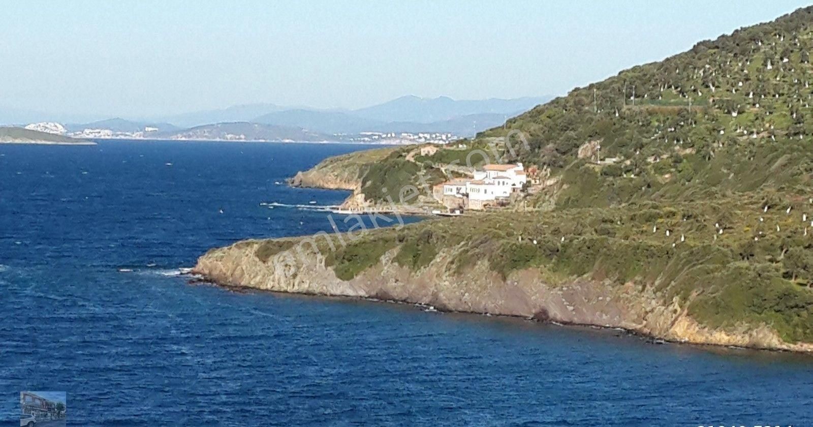 Balıkesir Ayvalık Cunda Da Satılık 45.000 Metre Kare Arsa. - Görsel 8