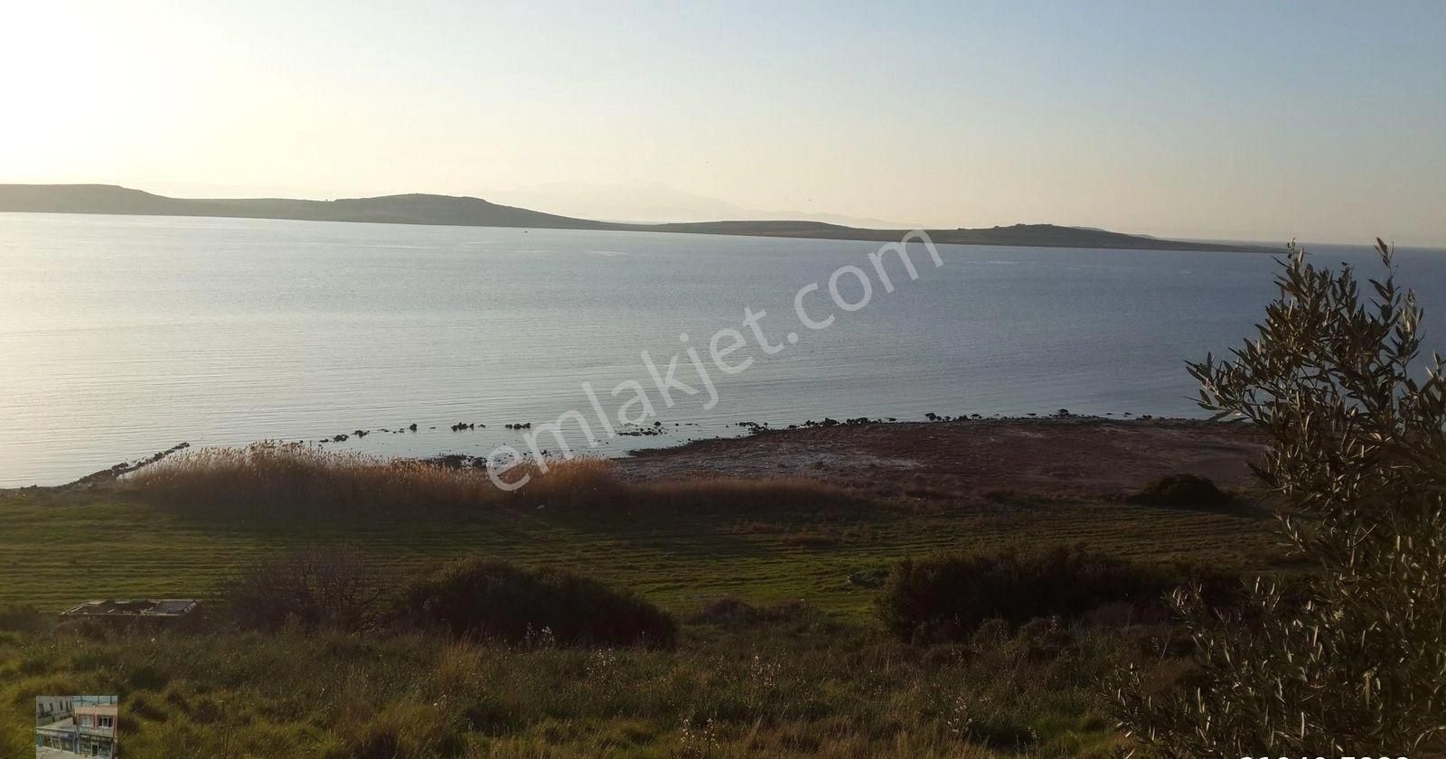 Balıkesir Ayvalık Sarımsaklı Da Satılık 21 Donum Arsa. - Görsel 6