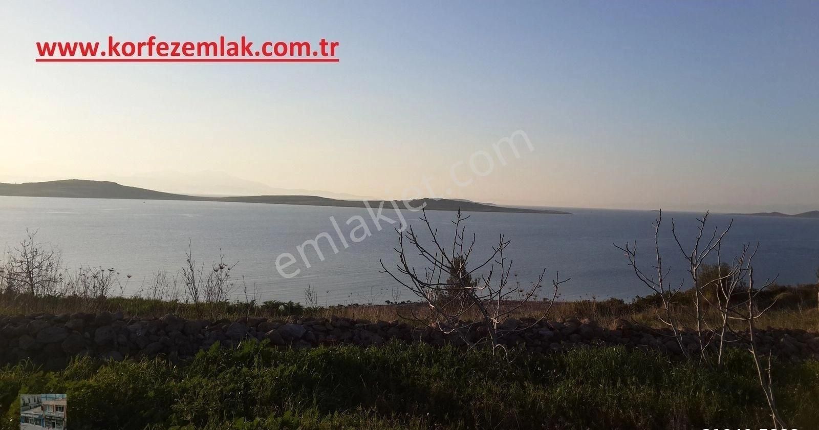 Balıkesir Ayvalık Sarımsaklı Da Satılık 21 Donum Arsa. - Görsel 5