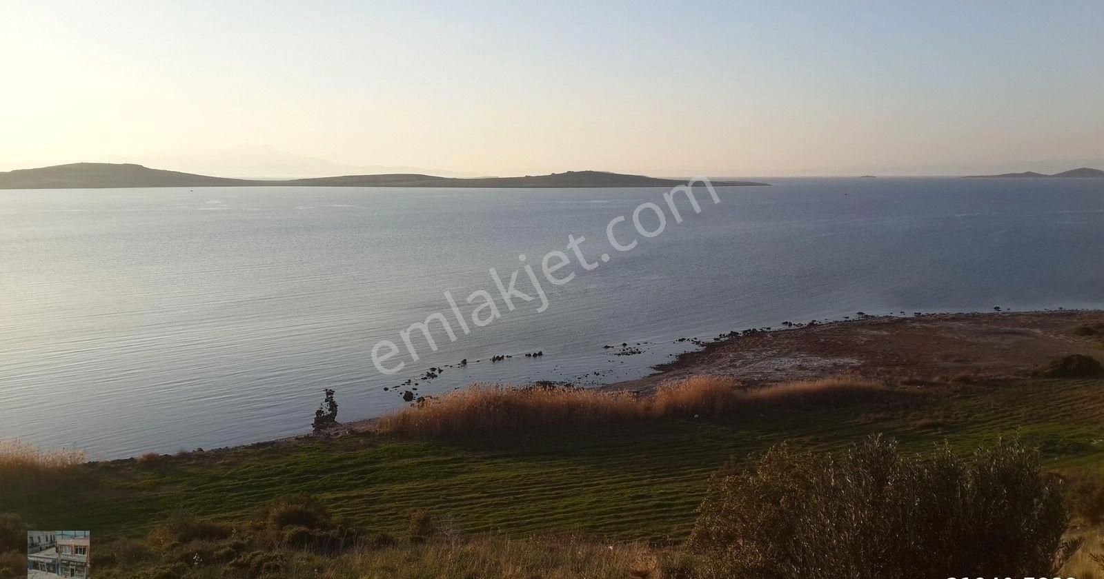 Balıkesir Ayvalık Sarımsaklı Da Satılık 21 Donum Arsa. - Görsel 8