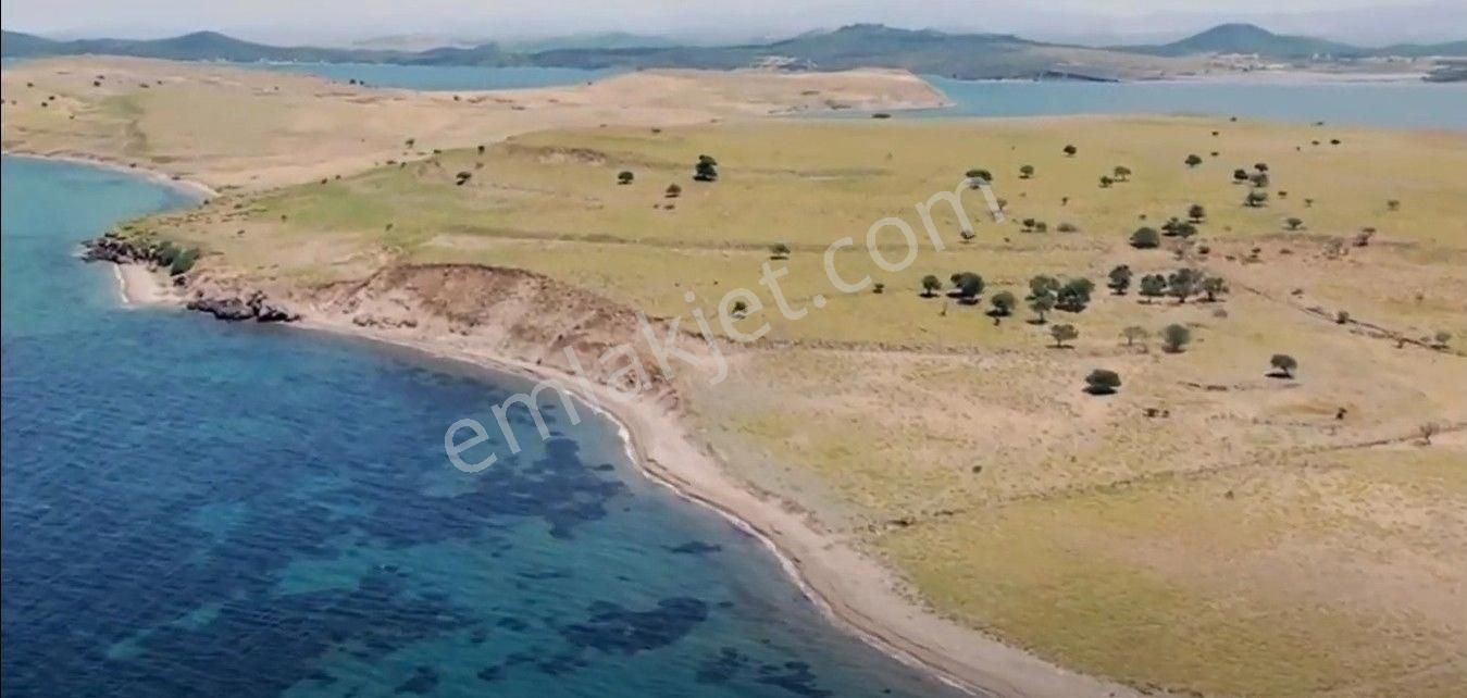 Balıkesir Ayvalık Cıplak Ada Da Satılık 29,548 Metre Kare Arsa. - Görsel 5