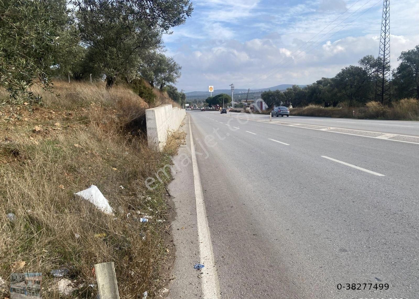 Balıkesir Ayvalık Ta Satılık 7311 Metre Kare Zeytinlik - Görsel 3