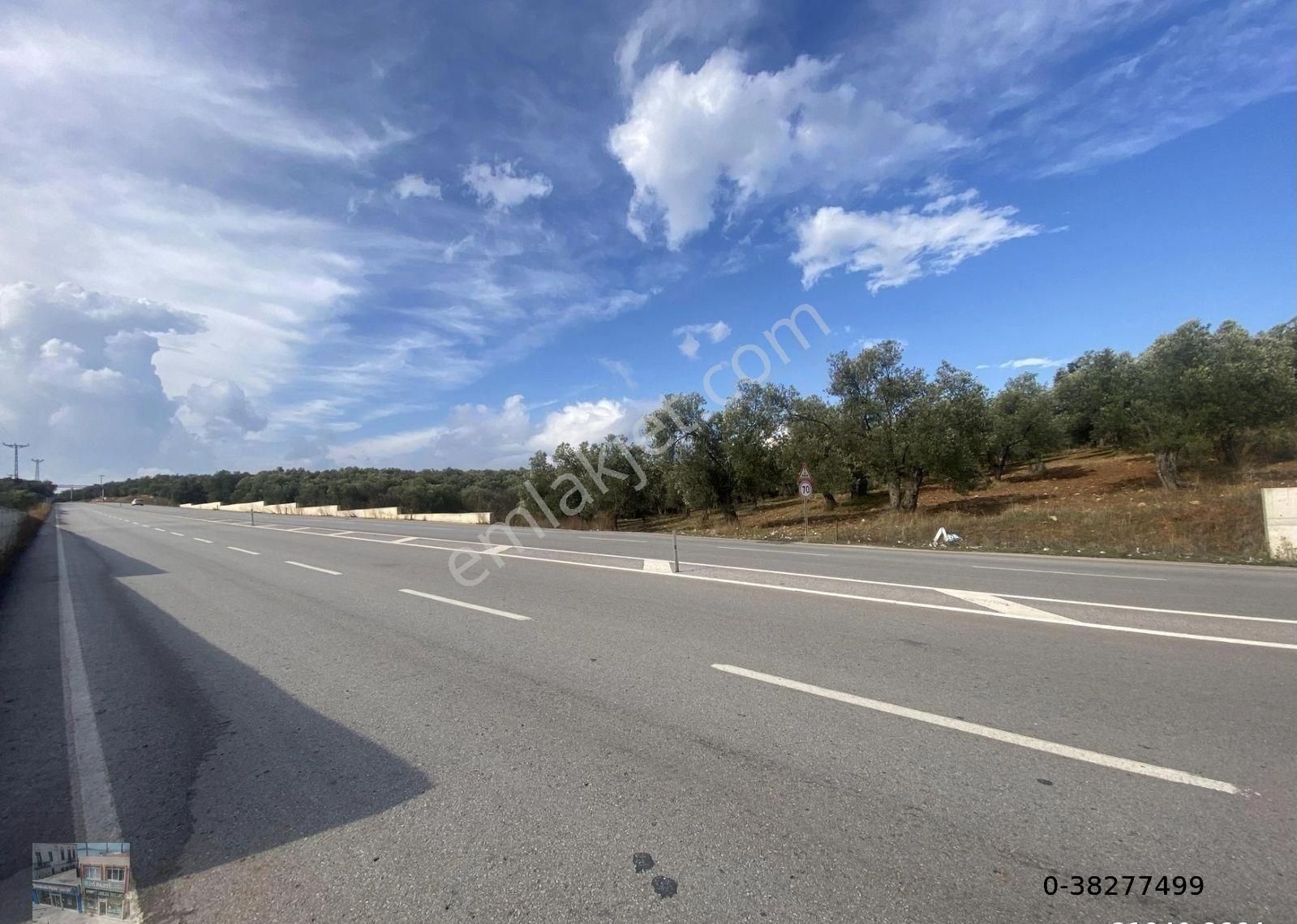 Balıkesir Ayvalık Ta Satılık 7311 Metre Kare Zeytinlik - Görsel 11