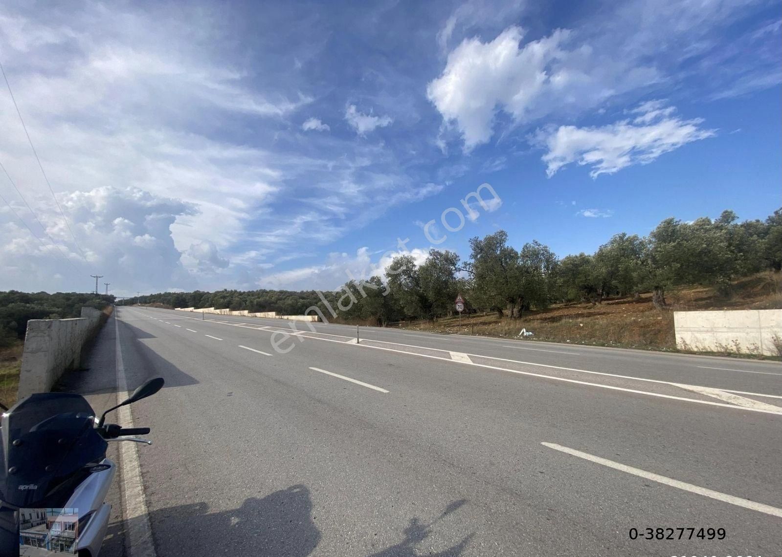 Balıkesir Ayvalık Ta Satılık 7311 Metre Kare Zeytinlik - Görsel 9