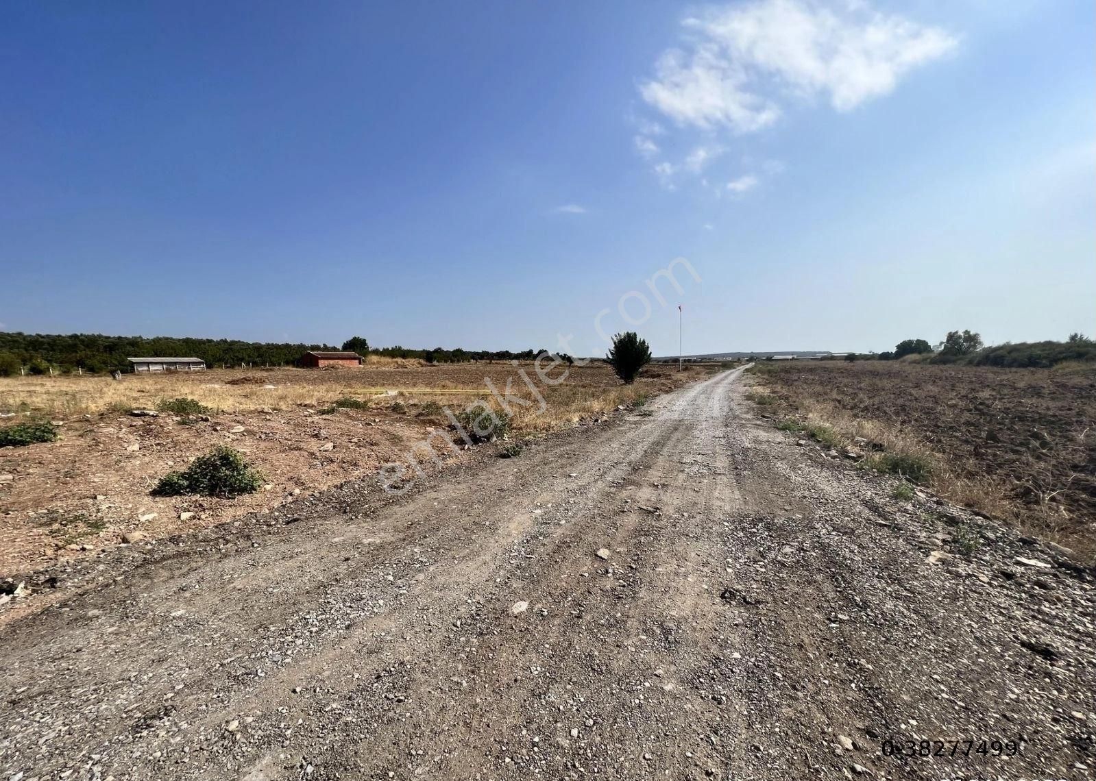 Ayvalık Ta Satılık 26,840 Metre Kare Tarla.icinde Bina Vardır - Görsel 2