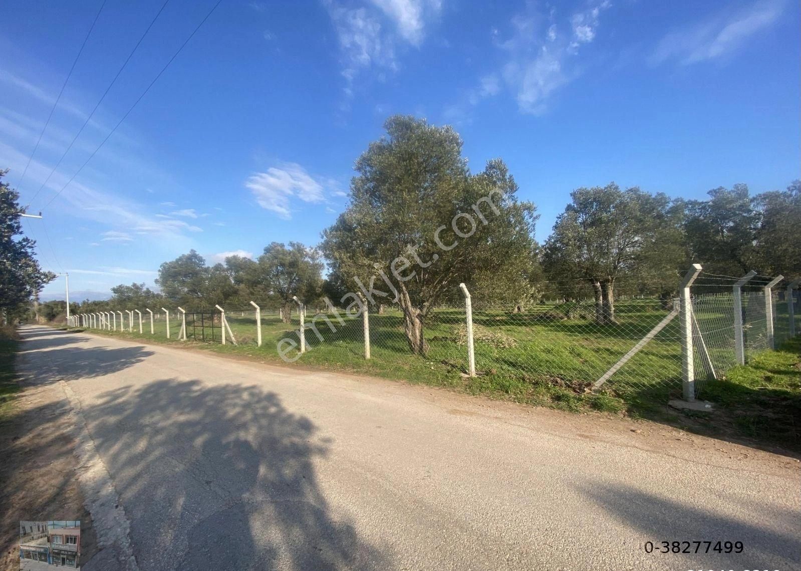 Balıkesir Ayvalık Ta Satılık 17,428 Metre Kare Arsa - Görsel 4