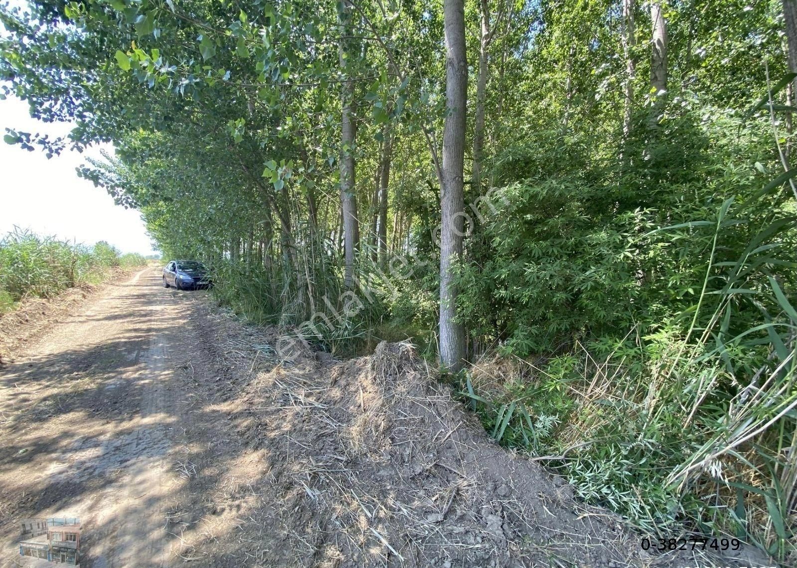 Balıkesir Edremit Te Satılık 110,650 Metre Kare Tarla.