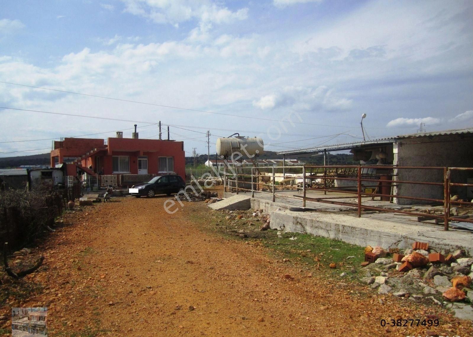 Balıkesir Ayvalık Ta Satılık Ciftlik. - Görsel 10
