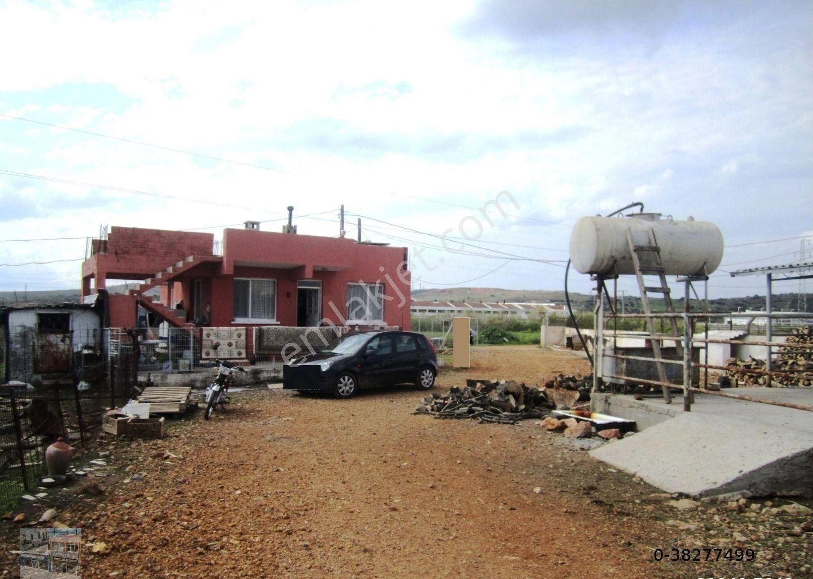 Balıkesir Ayvalık Ta Satılık Ciftlik. - Görsel 6