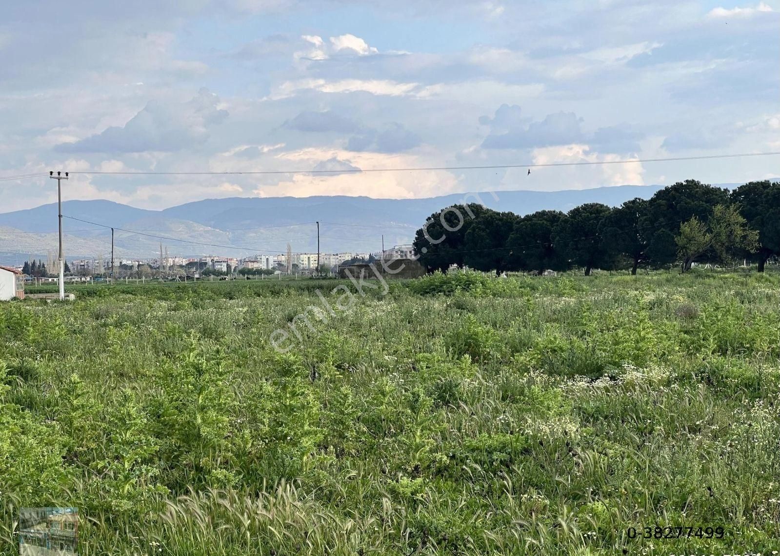 Balıkesir Burhaniye De Satılık 9,183 Metre Kare Arsa. - Görsel 6