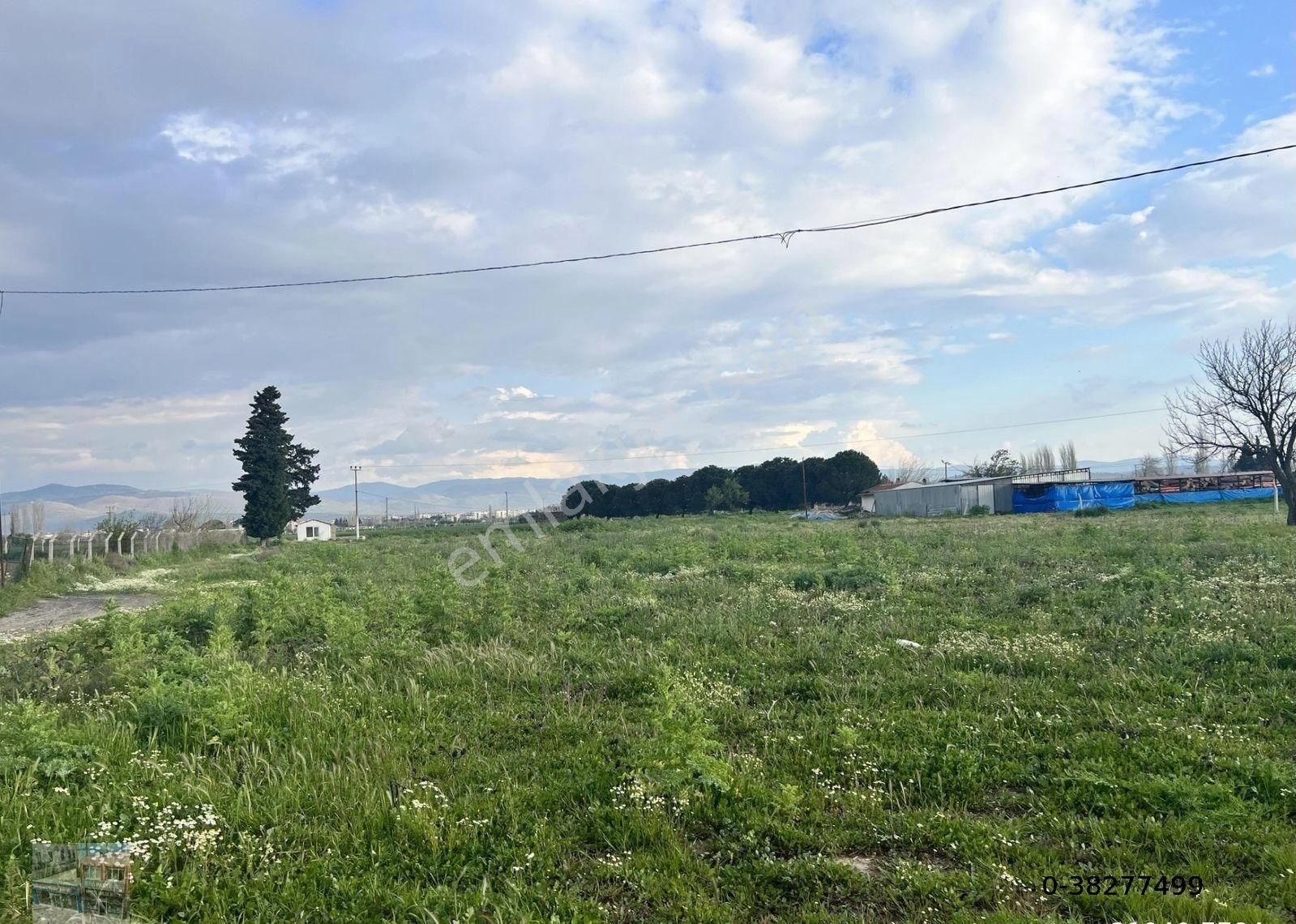 Balıkesir Burhaniye De Satılık 9,183 Metre Kare Arsa. - Görsel 4