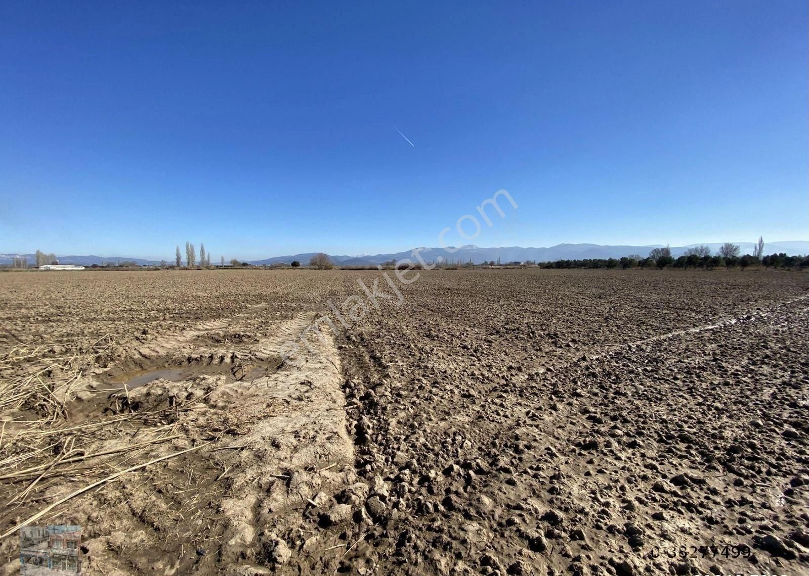 Balıkesir Burhaniye De Satılık 74.000 Metre Kare Tarla