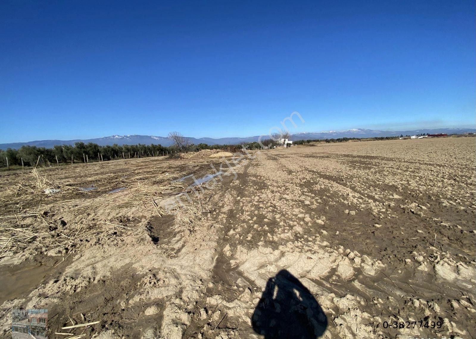 Balıkesir Burhaniye De Satılık 74.000 Metre Kare Tarla - Görsel 4