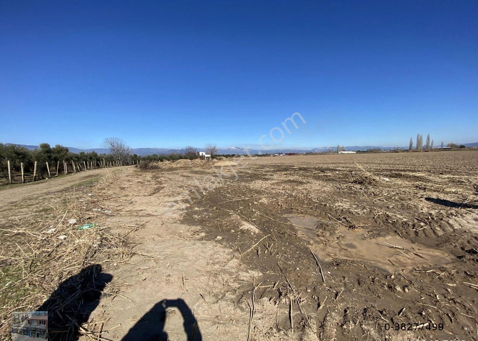 Balıkesir Burhaniye De Satılık 74.000 Metre Kare Tarla - Görsel 10