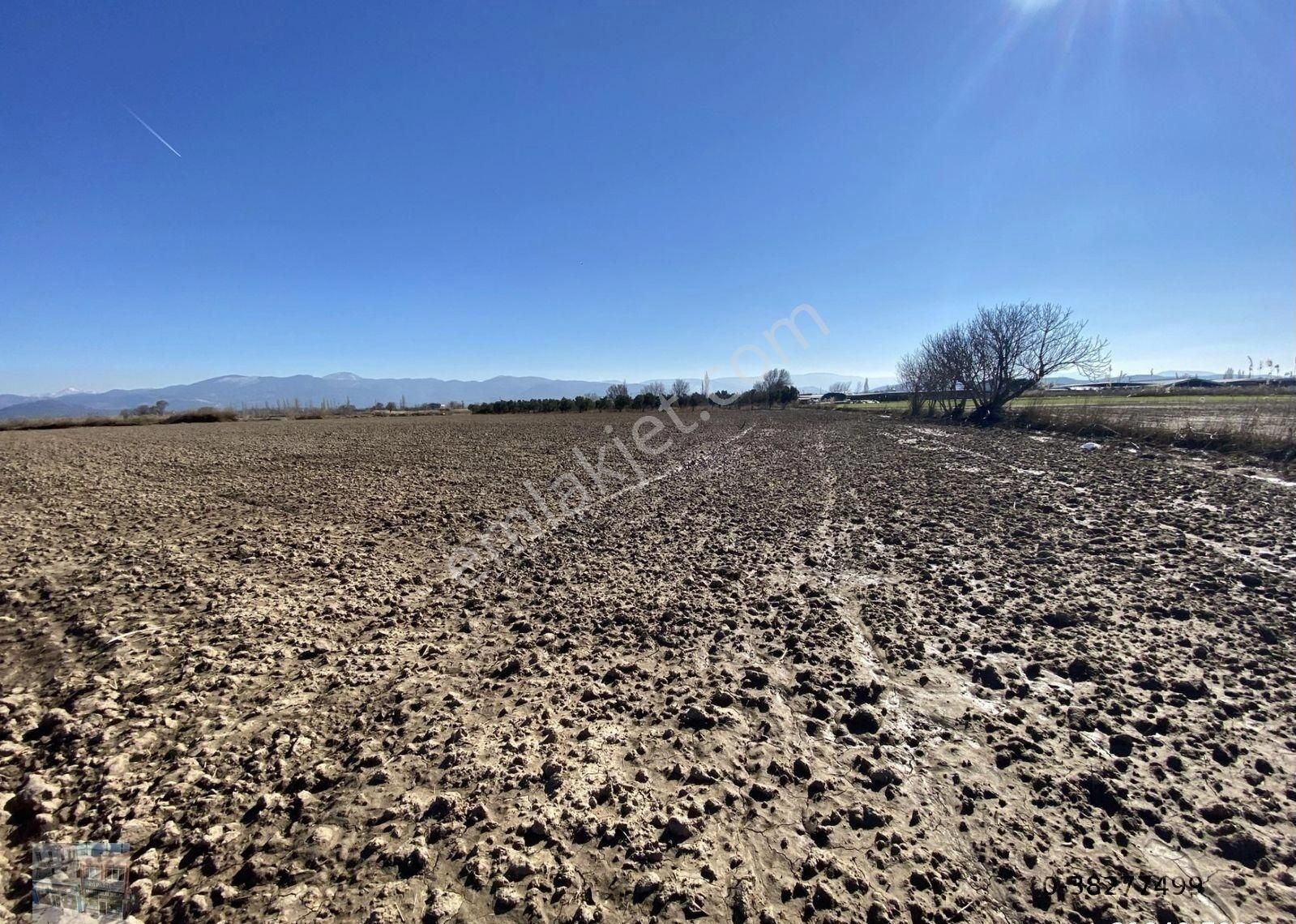 Balıkesir Burhaniye De Satılık 74.000 Metre Kare Tarla - Görsel 9