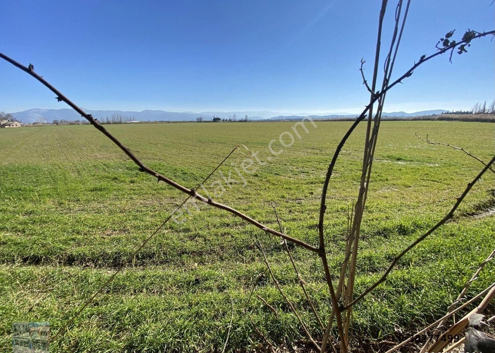 Balıkesir Burhaniye De Satılık 75 Donum Arsa.imara Bitişik - Görsel 9