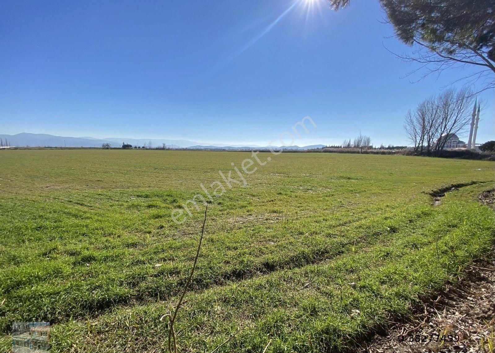 Balıkesir Burhaniye De Satılık 75 Donum Arsa.imara Bitişik - Görsel 6