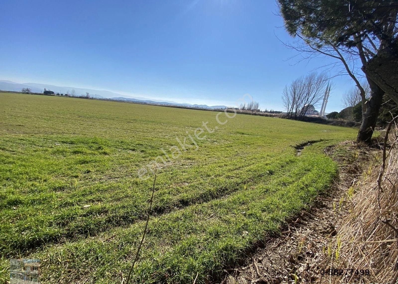 Balıkesir Burhaniye De Satılık 75 Donum Arsa.imara Bitişik - Görsel 3