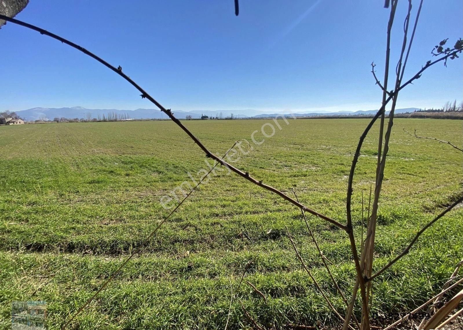 Balıkesir Burhaniye De Satılık 75 Donum Arsa.imara Bitişik - Görsel 10