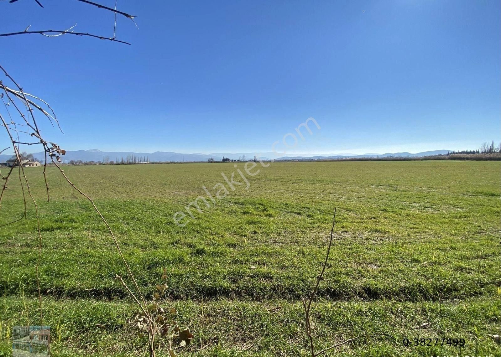 Balıkesir Burhaniye De Satılık 75 Donum Arsa.imara Bitişik - Görsel 7