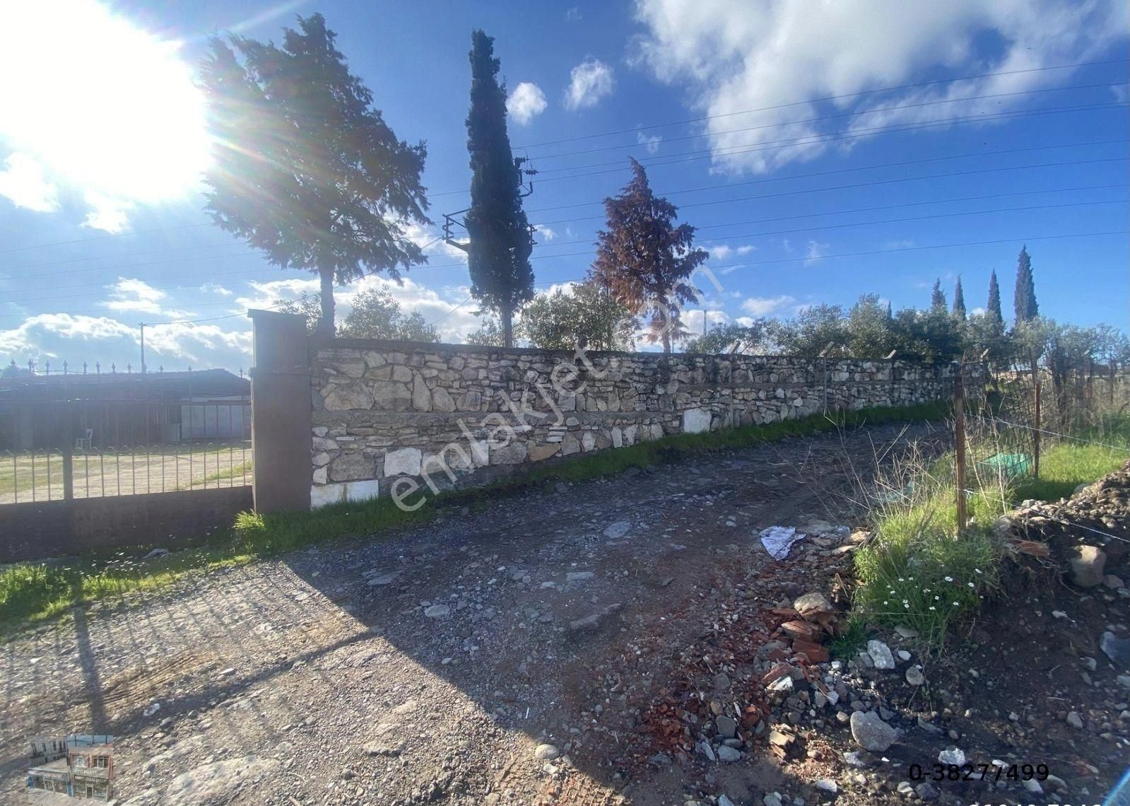 Balıkesir Ayvalık Ta Satılık 21,919 Metre Kare Arsa.ana Yola Cepheli - Görsel 6