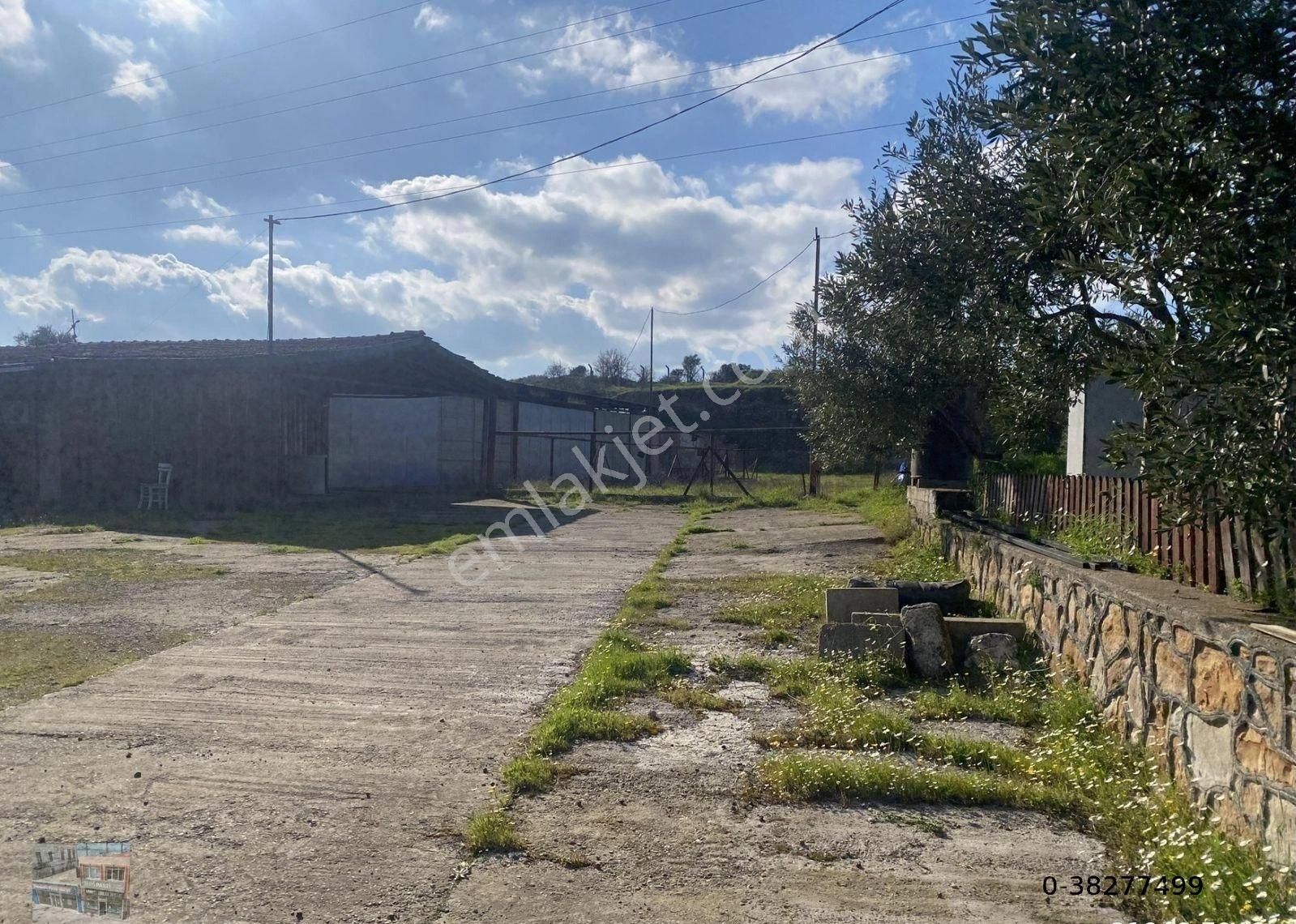 Balıkesir Ayvalık Ta Satılık 21,919 Metre Kare Arsa.ana Yola Cepheli - Görsel 3