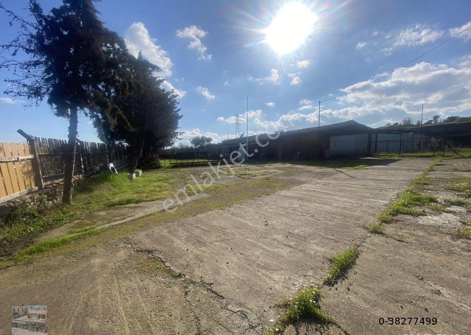 Balıkesir Ayvalık Ta Satılık 21,919 Metre Kare Arsa.ana Yola Cepheli - Görsel 7