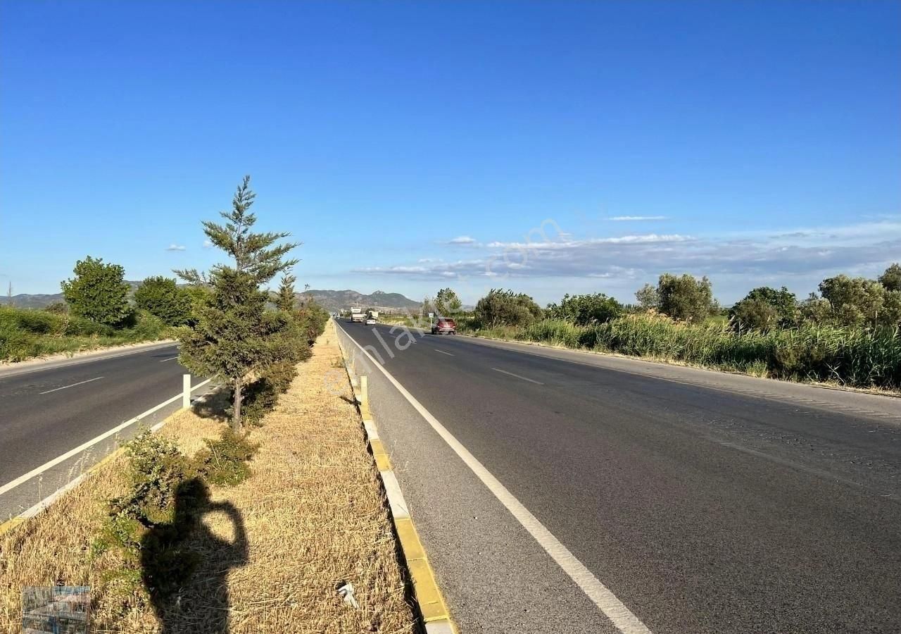 Balıkesir Ayvalık Altınova Da Satılık 20 Donum Tarla