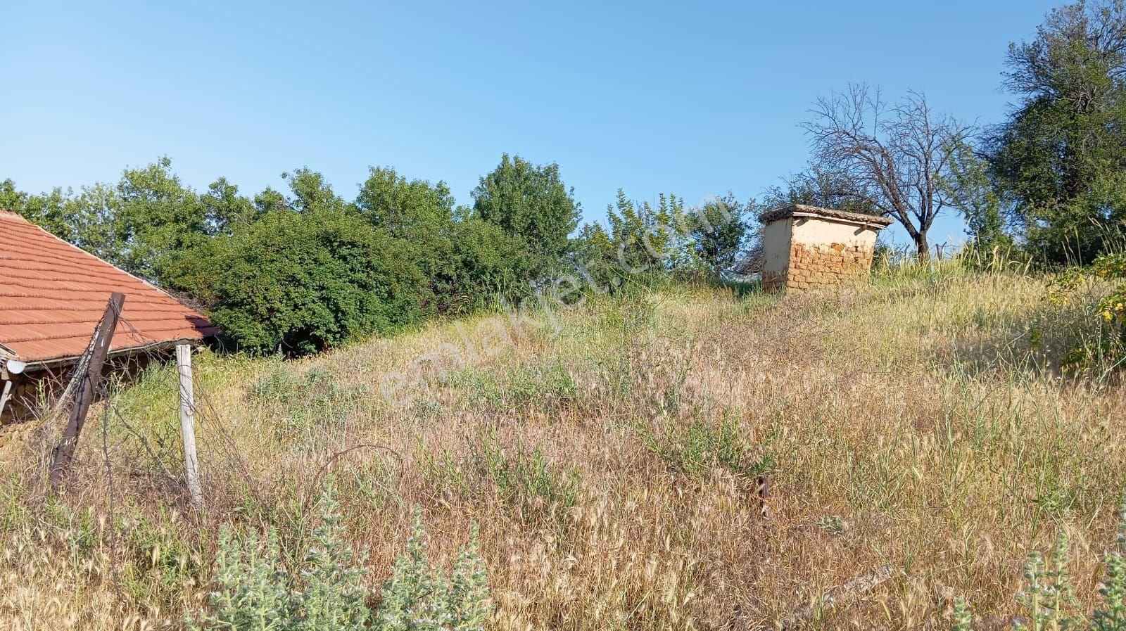 Toprağa Yatırım Geleceğe Yatırım - Görsel 15