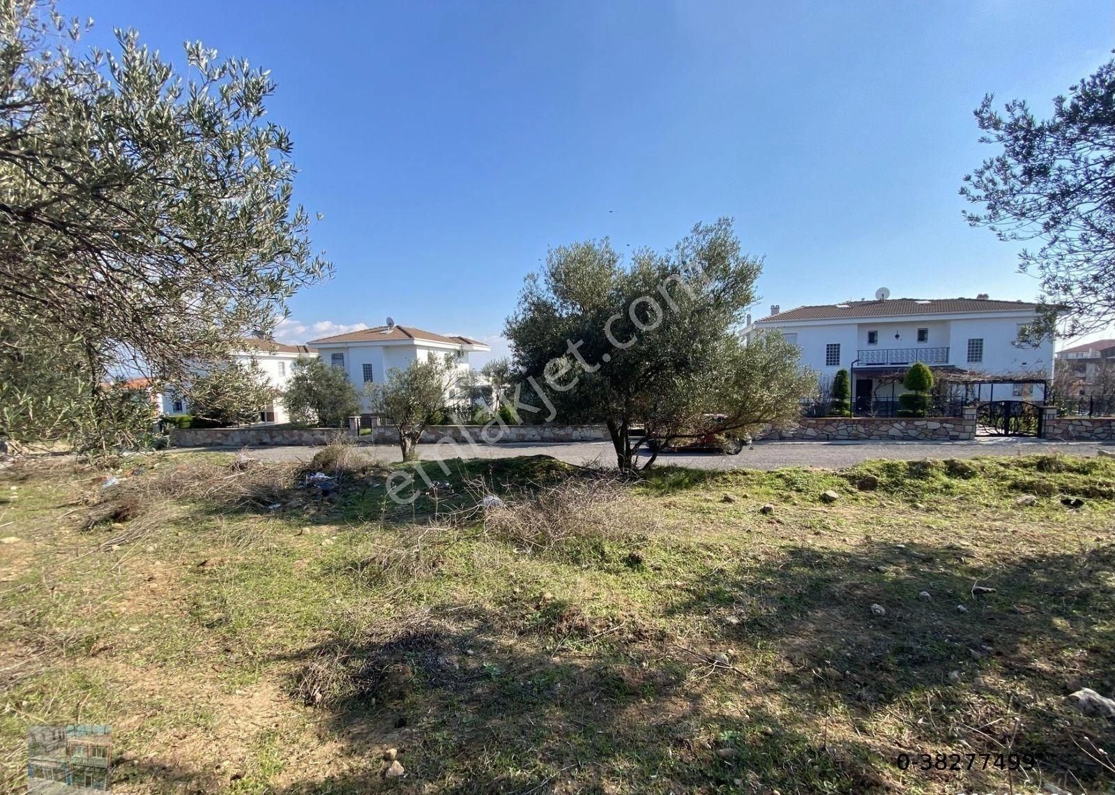 Balıkesir Ayvalık Sarımsaklı Da Satılık 4,600 Metre Kare Arsa - Görsel 2