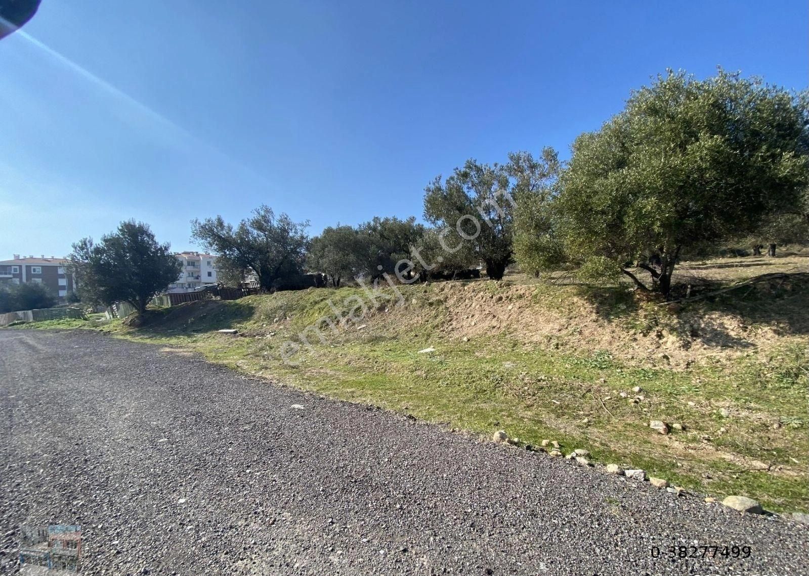 Balıkesir Ayvalık Sarımsaklı Da Satılık 4,600 Metre Kare Arsa - Görsel 3