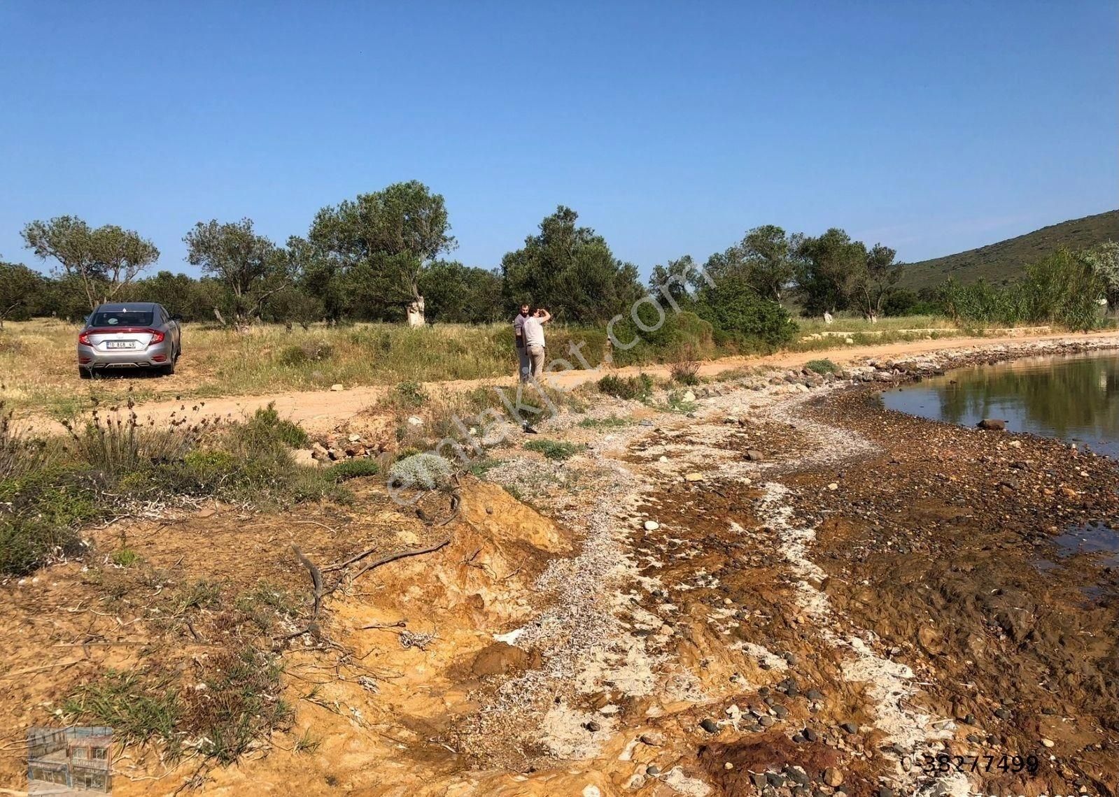 Balıkesir Ayvalık Cunda Da Satılık 21,000 Metre Kare Arsa.denize Sıfır - Görsel 7