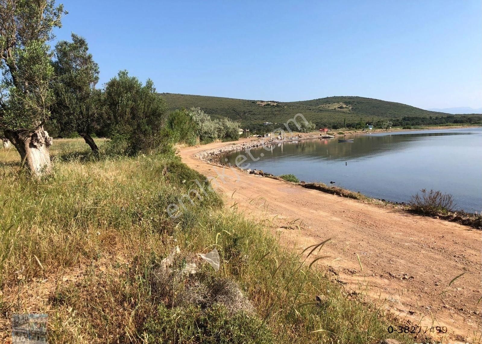 Balıkesir Ayvalık Cunda Da Satılık 21,000 Metre Kare Arsa.denize Sıfır - Görsel 10