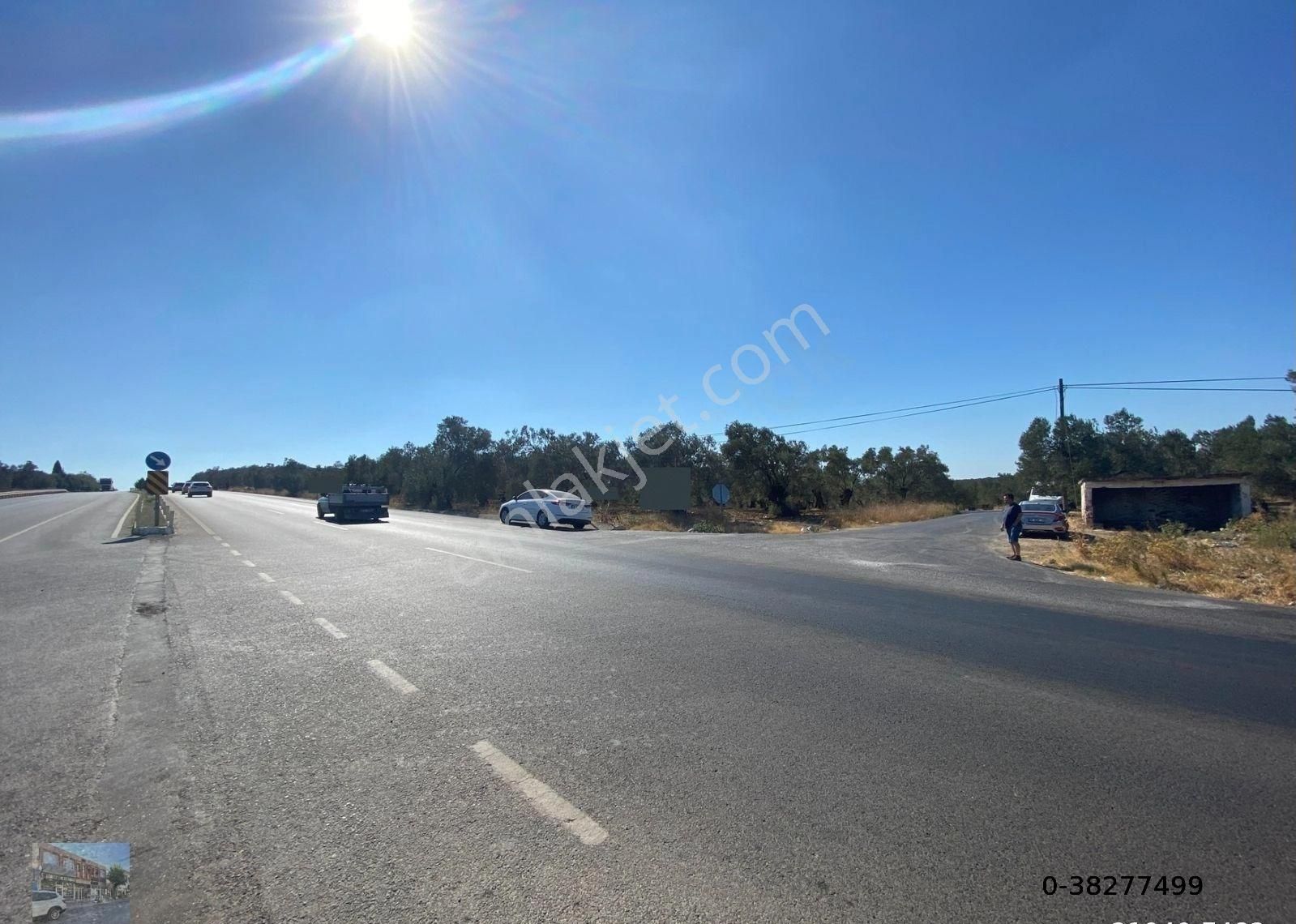 Balıkesir Gömec Keremköy De Satılık 40,000 Metre Kare Zeytinlik. - Görsel 12