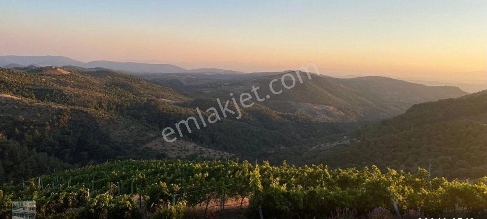 Balıkesir Gömec Kobaşlar Da Satılık 10,000 Metre Kare Bağ Evi Arsası - Görsel 9